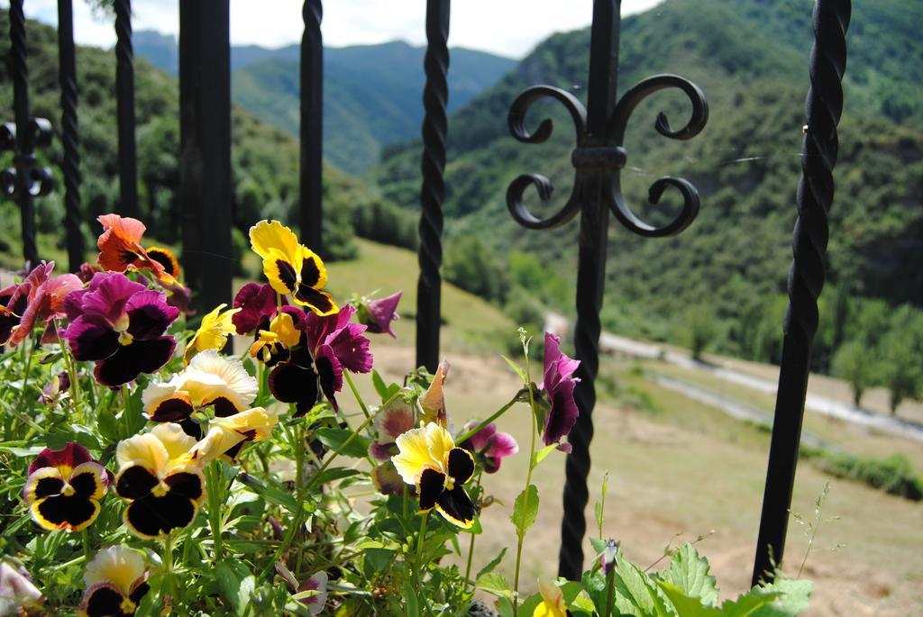 Viviendas Rurales Aldea De Dosamantes Pesaguero-La Parte 部屋 写真