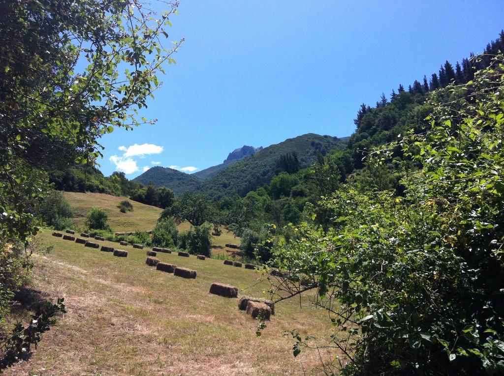 Viviendas Rurales Aldea De Dosamantes Pesaguero-La Parte エクステリア 写真