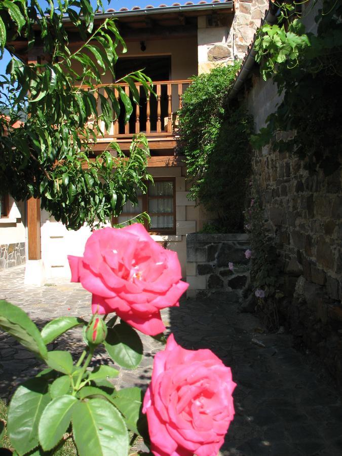 Viviendas Rurales Aldea De Dosamantes Pesaguero-La Parte エクステリア 写真